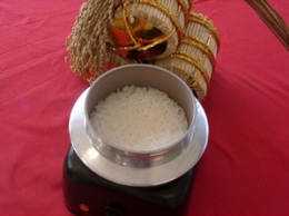 【平成23年産新米】 精米会津産こしひかり 食味ランキング”特Ａ”の米　会津産コシヒカリ100％ 