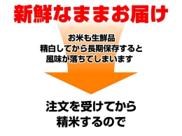 平成23年産・新米 京都丹後産コシヒカリ