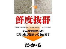 平成23年産・新米 京都丹後産コシヒカリ