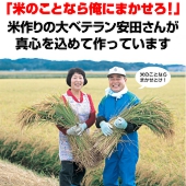 平成23年産・新米 京都丹後産コシヒカリ