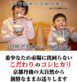 【平成23年産新米】 精米会津産こしひかり 食味ランキング”特Ａ”の米　会津産コシヒカリ100％ 