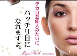 二重をくせづけるトリートメントアイカラーW