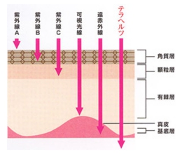 新型フェイスローラー セラミックスキンローラー