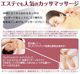 小顔フェイシャル cassage カッサージプレートステンレス