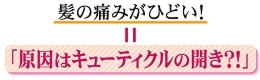 洗っても続く形状記憶トリートメントキューティフィックス