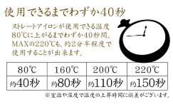 ヘアアイロン ストレート SunRuck（サンルック） プロ仕様ヘアアイロン SR-HI01