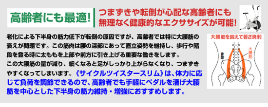 【大人気エアロバイク】サイクルツイスタースリム高齢者のもおすすめのエクササイズ