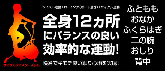 バランスの良い効率的な運動サイクルツイスタースリム