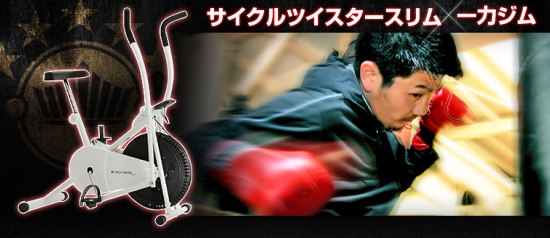【おすすめエアロバイク】サイクルツイスタースリム
