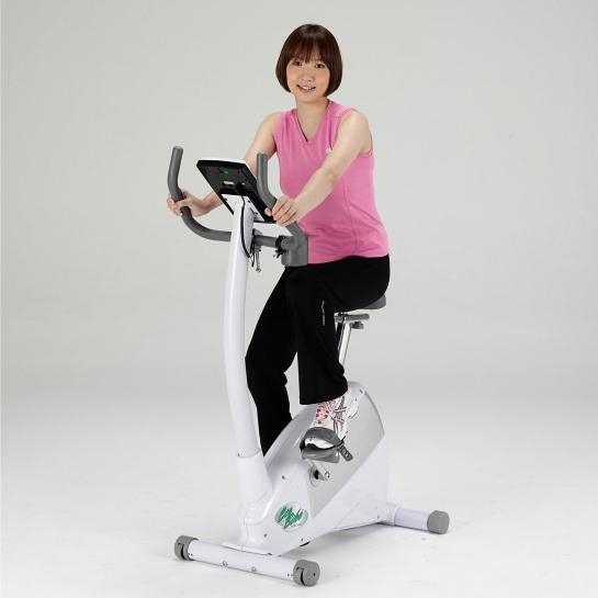 【エアロバイク】ALINCO（アルインコ）エコバイク AFB7012の激安通販