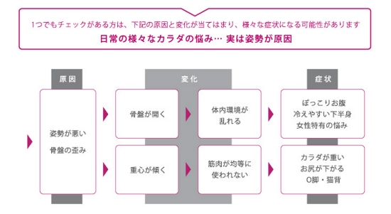 【骨盤矯正グッズ】hihip ハイヒップ 美姿勢サブチェア 骨盤On the Chair HHI-EV-R