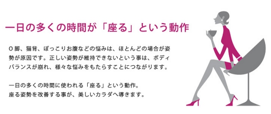 【骨盤矯正グッズ】hihip ハイヒップ 美姿勢サブチェア 骨盤On the Chair HHI-EV-R