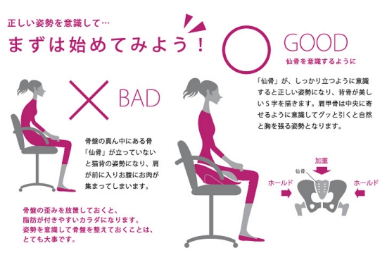 【骨盤矯正グッズ】hihip ハイヒップ 美姿勢サブチェア 骨盤On the Chair HHI-EV-R
