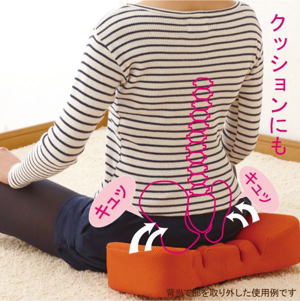 【骨盤矯正グッズ】勝野式 寝るだけDE骨盤ケアピロー