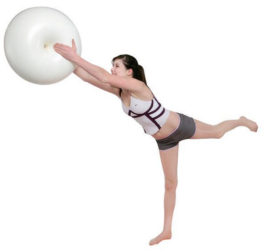 エグゼラックス ドーナッツバランスボール