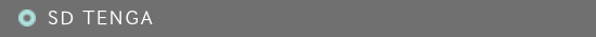 SD ＴＥＮＧＡ　SDテンガ 新発売オナホール