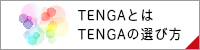 TENGAテンガとは 選び方使い方 おすすめ